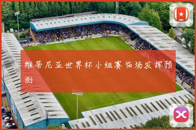 维蒂尼亚世界杯小组赛临场发挥预测