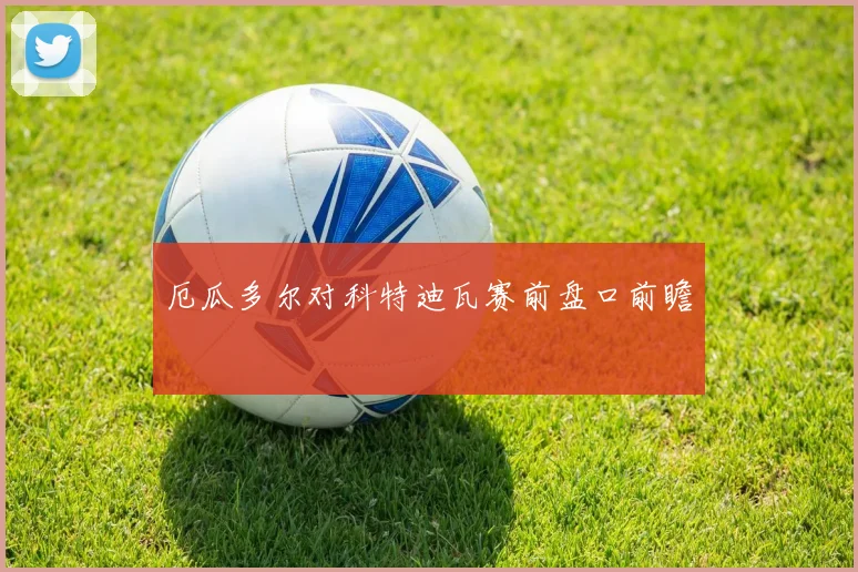 厄瓜多尔对科特迪瓦赛前盘口前瞻