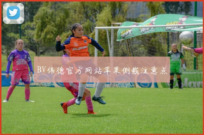 BV伟德官方网站苹果侧载注意点