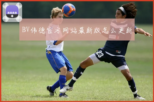 BV伟德官方网站最新版怎么更新