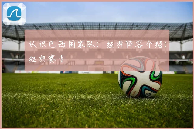 认识巴西国家队：经典阵容介绍：经典赛季
