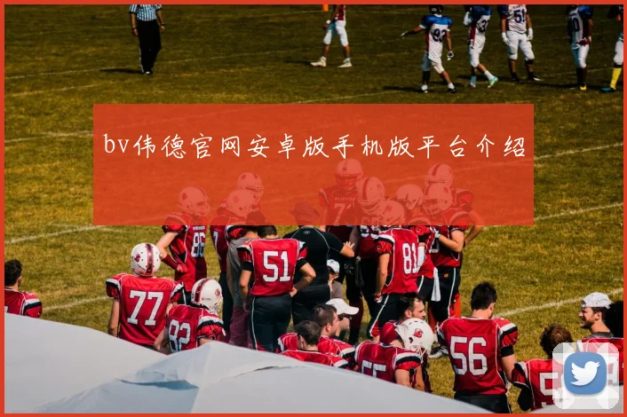 bv伟德官网安卓版手机版平台介绍