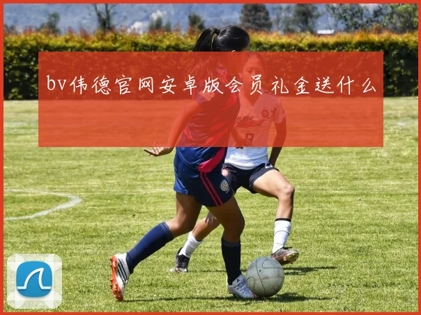 bv伟德官网安卓版会员礼金送什么