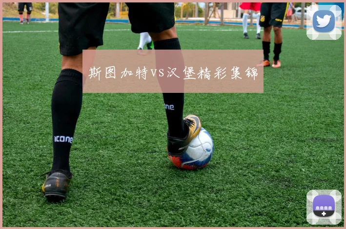 斯图加特vs汉堡精彩集锦