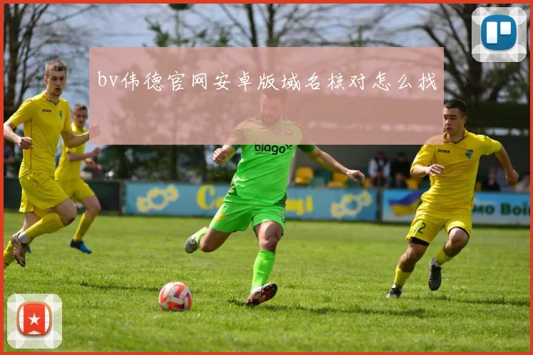 bv伟德官网安卓版域名核对怎么找